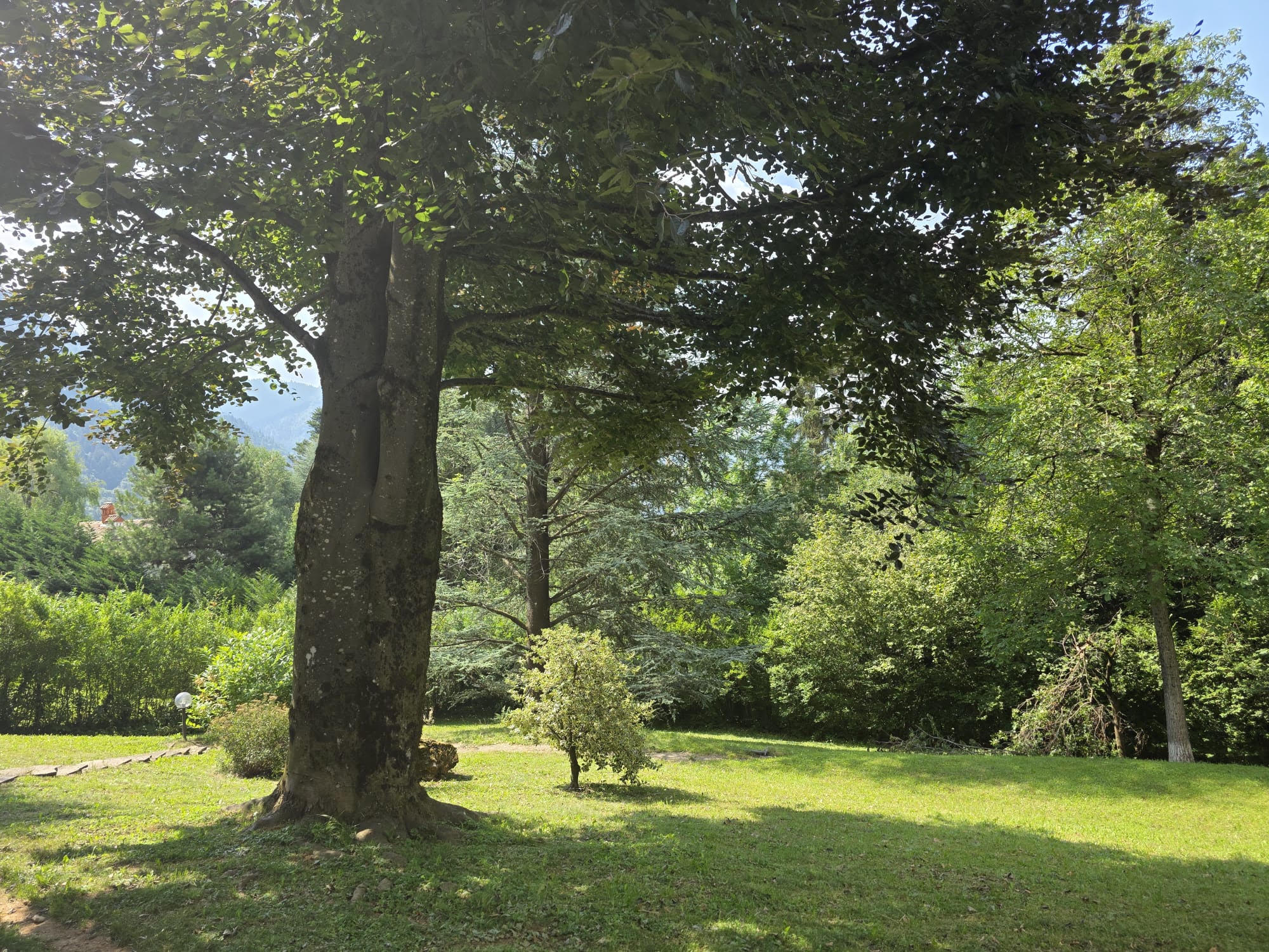 Casa Vacanza Dolcetitta